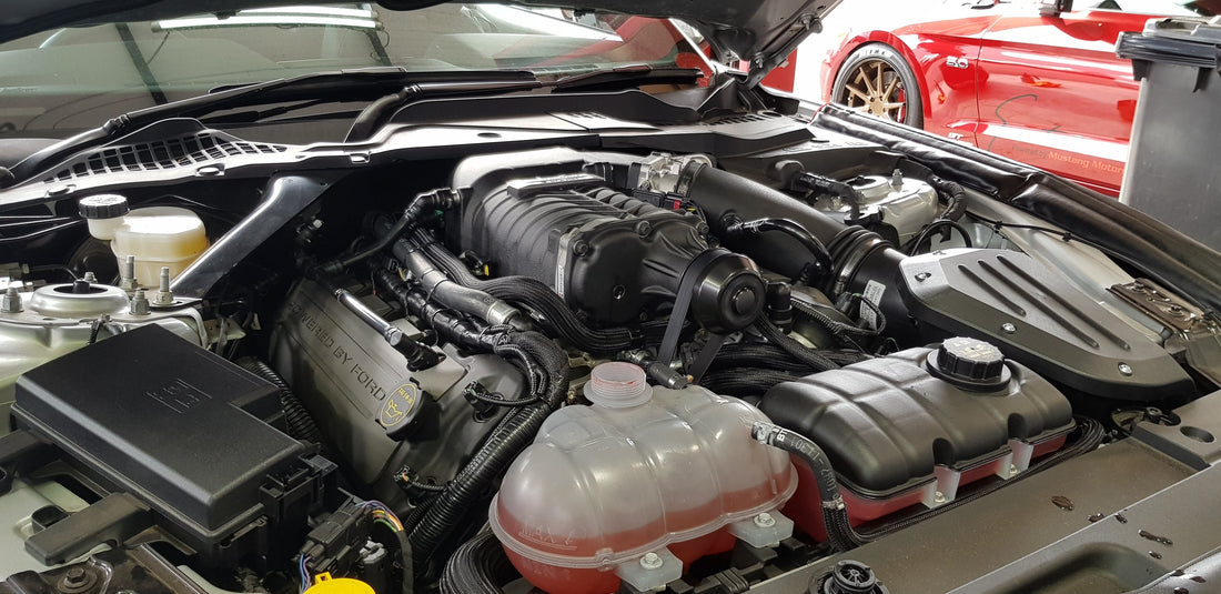 Whipple vs ROUSH for S550 5.0 Mustangs : which blower is right for you?